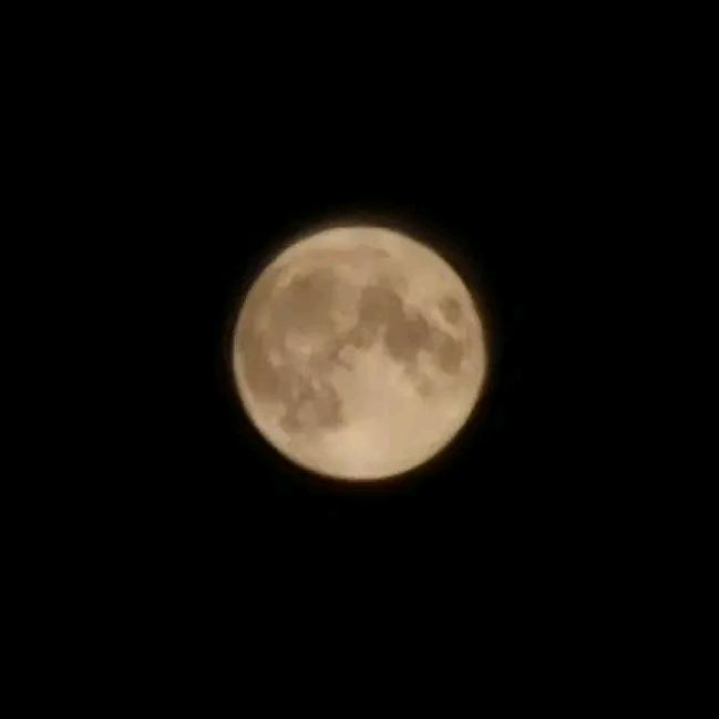 唐僧洗头用飘柔✔