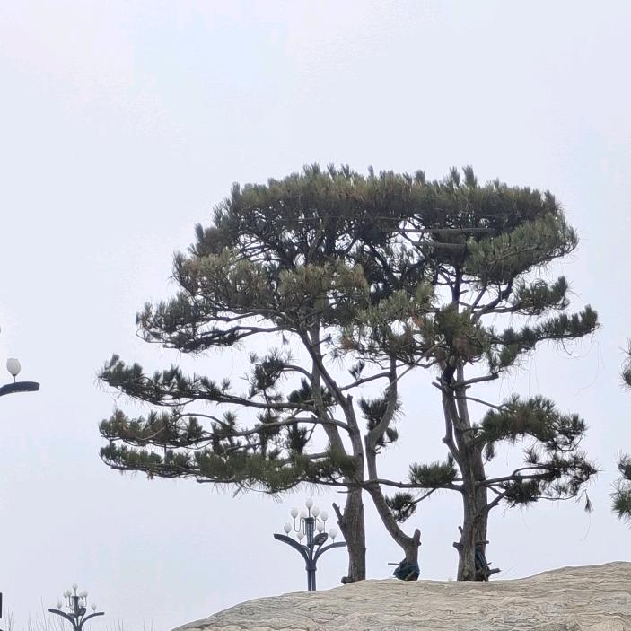 ℡山不转水转༈