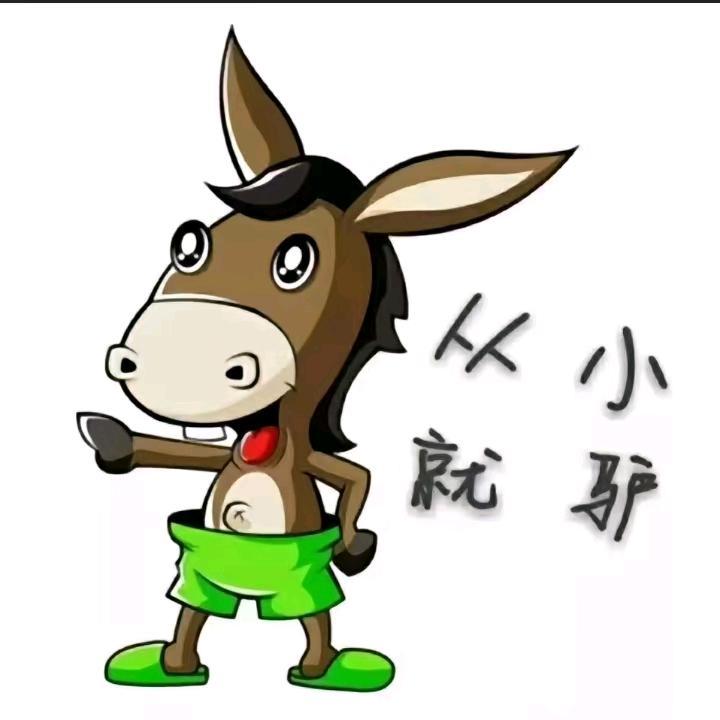 DNF黎明助理（大黑驴）