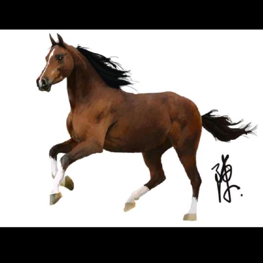 属马男人