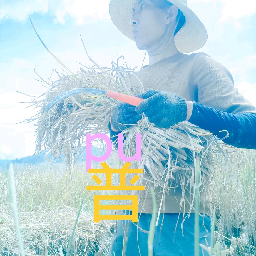 稻田守护者—阿苗