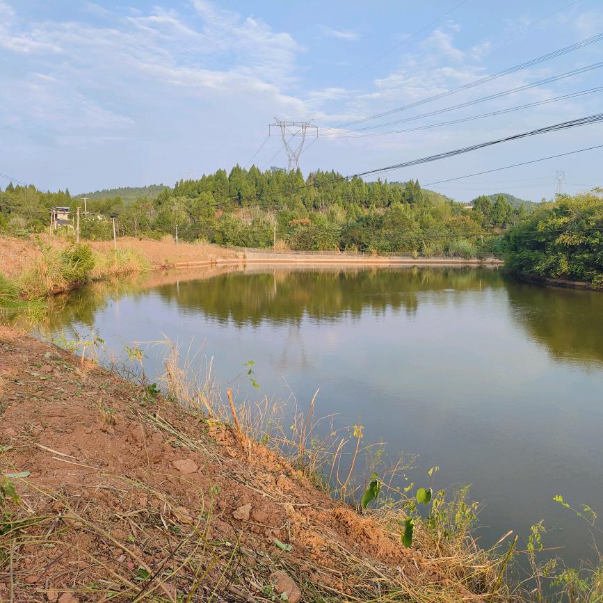包租婆鱼塘的快乐小农场