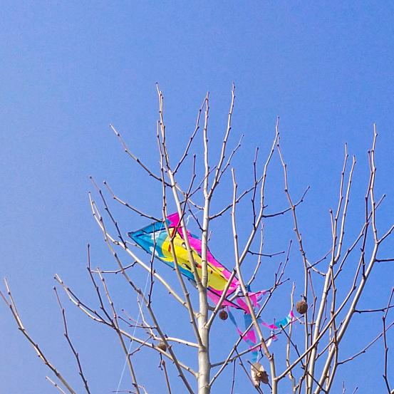 我不爱吃大豆芽