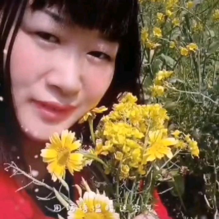 遥遥乐