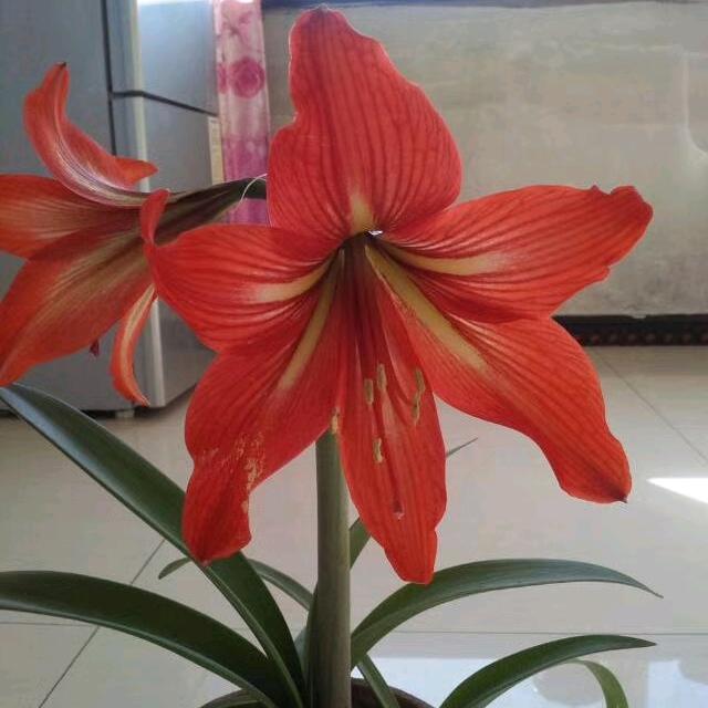 快乐每一天_i3cv
