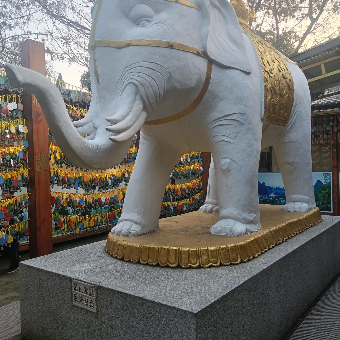 啊中1