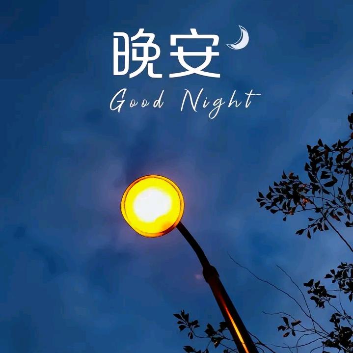 是晚安呀~