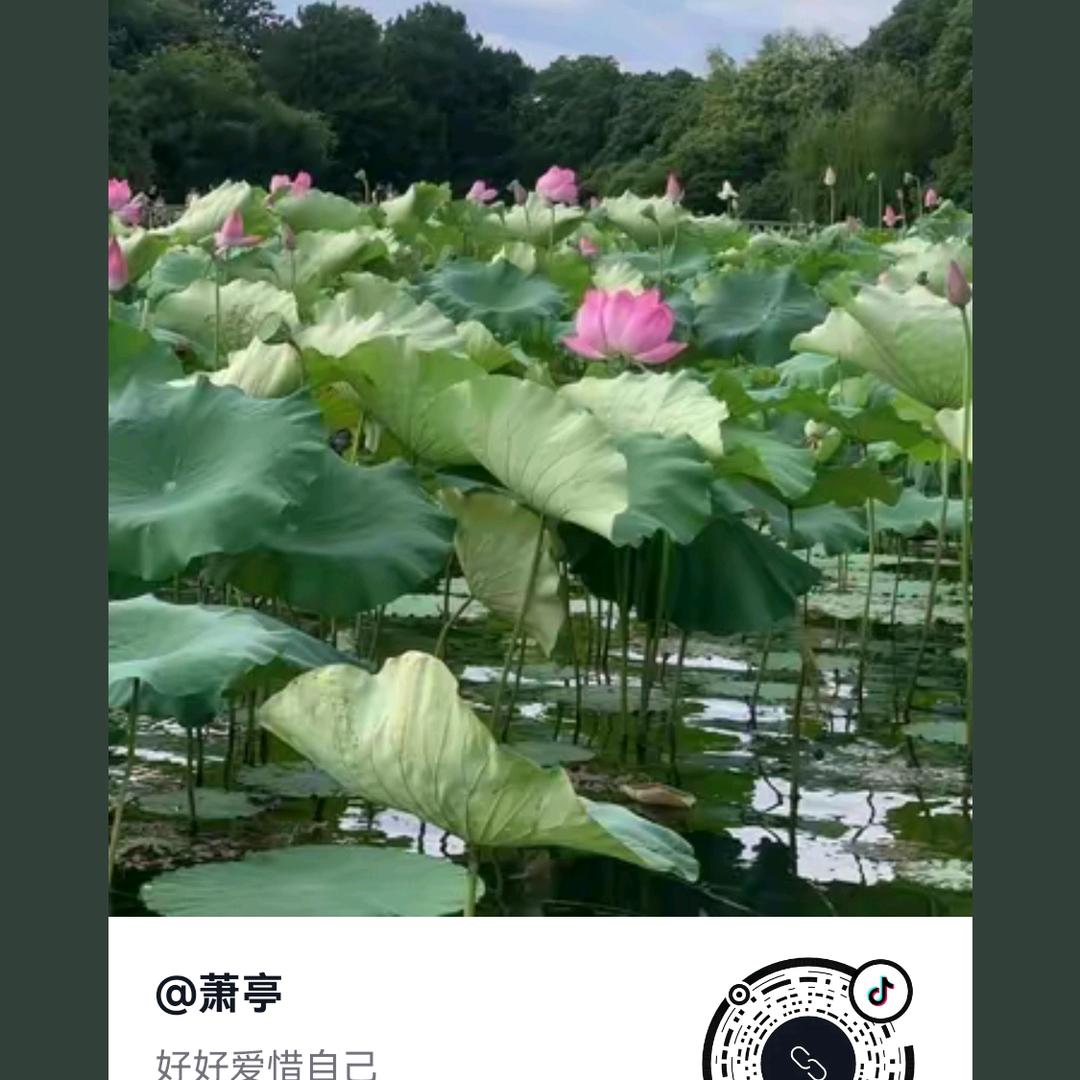 萧亭