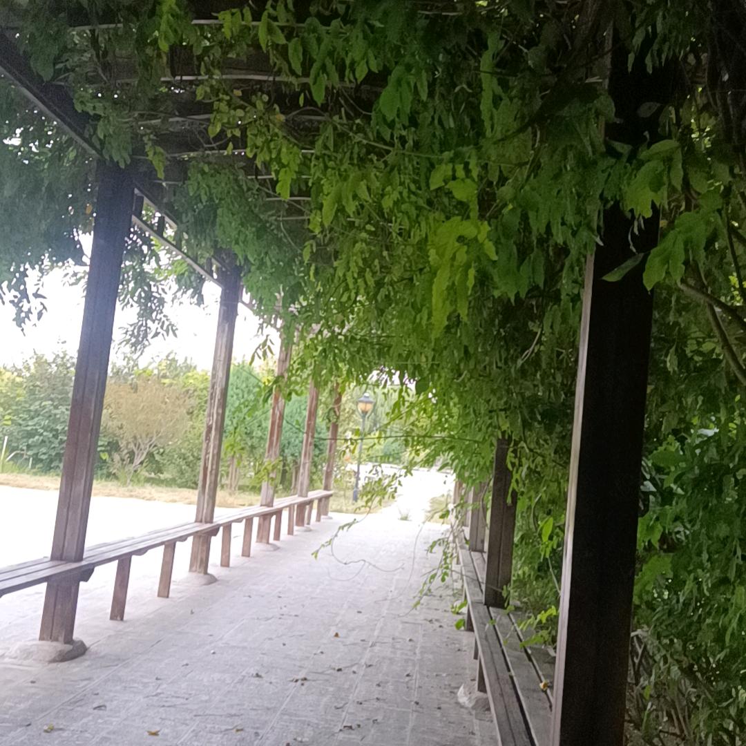 康家源