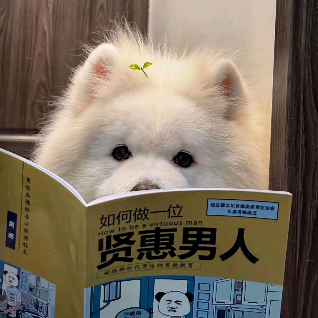 飞车手游赴约