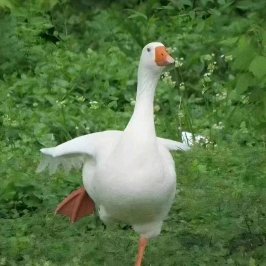 快乐零食