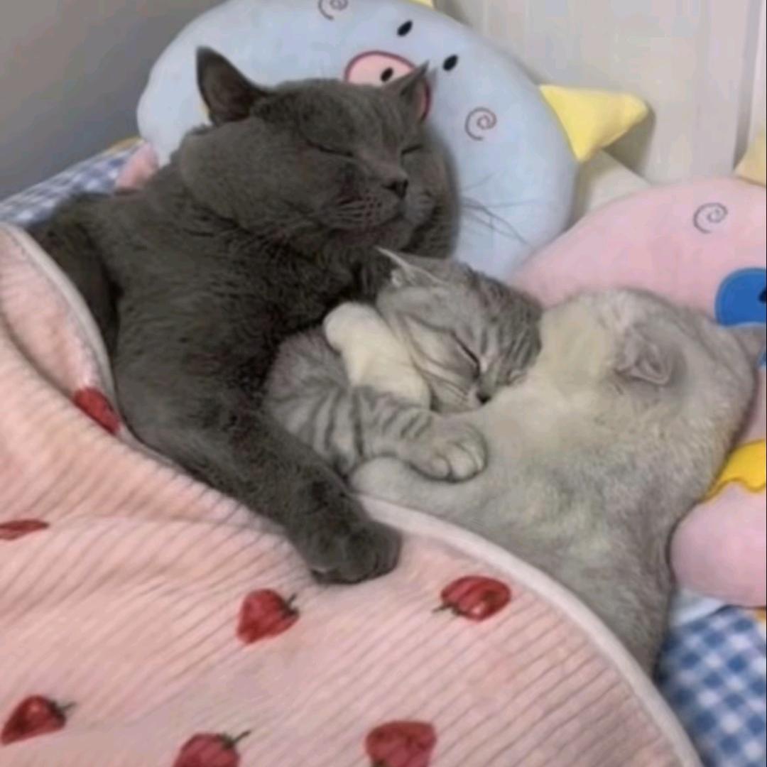 旭子麻麻👩