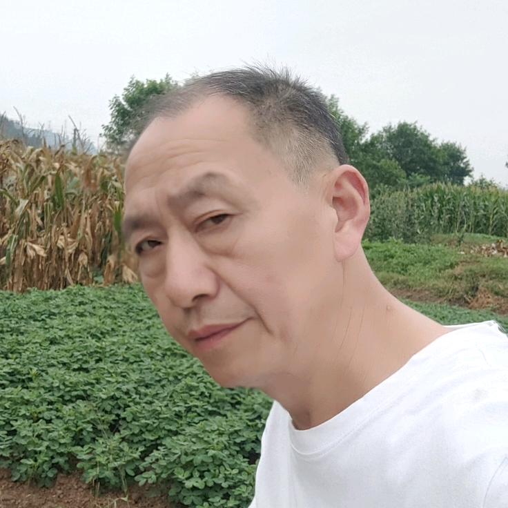 杨森（晚上19点30分直播）