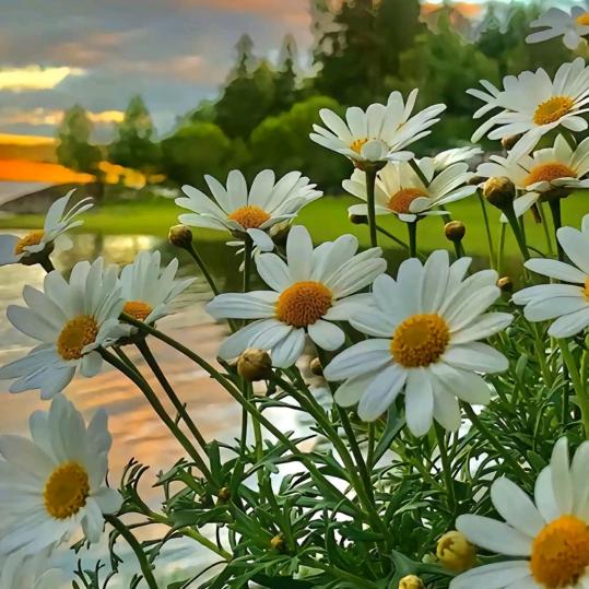 ❤️💤和气生财💤🩷🩷🩷🐥🐥