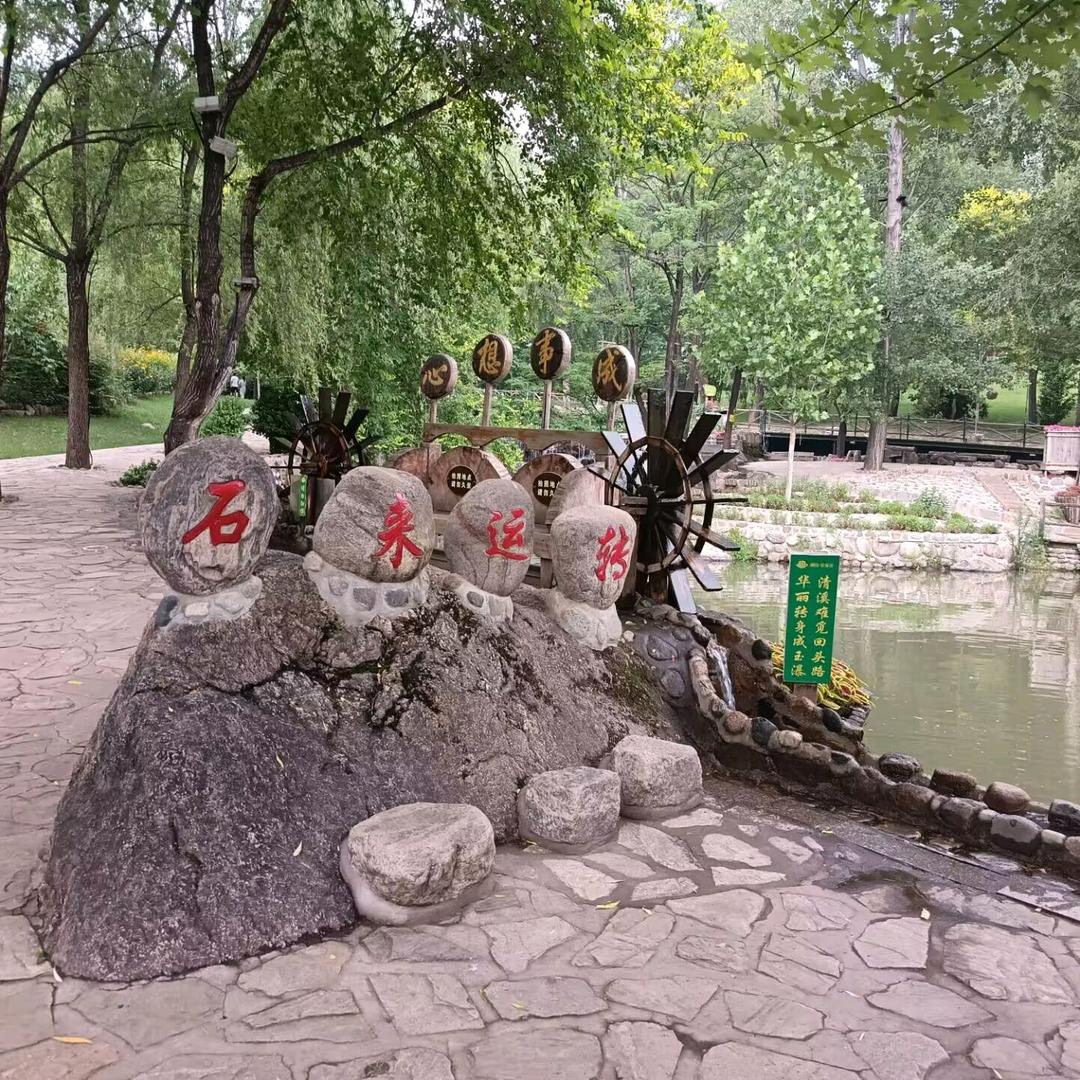 我的温柔只给你