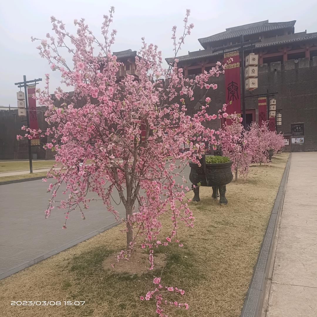 单身哥，寻缘人