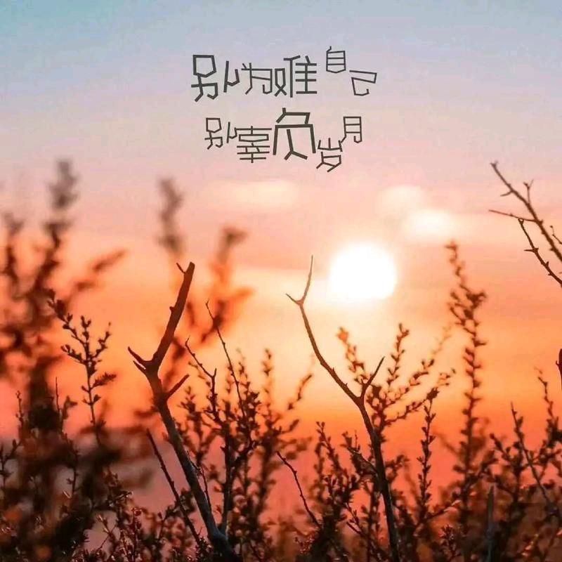 白胡子大佬