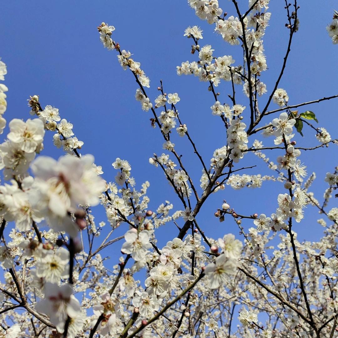 三五💋💋女装