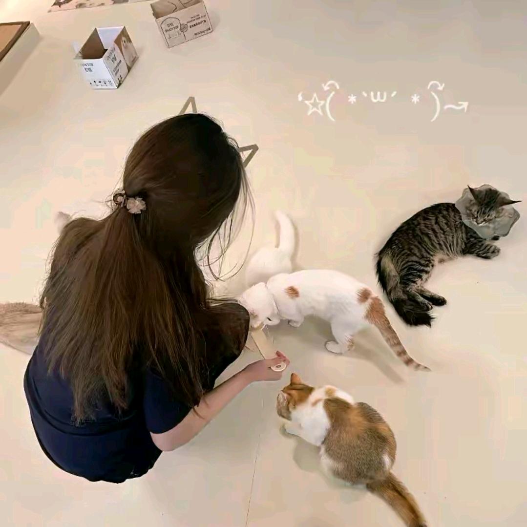 林玲