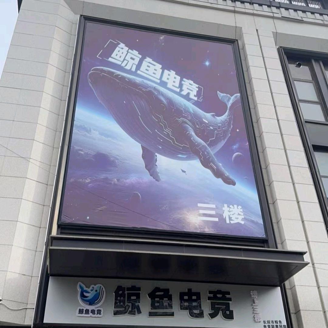 鲸鱼电竞官方号