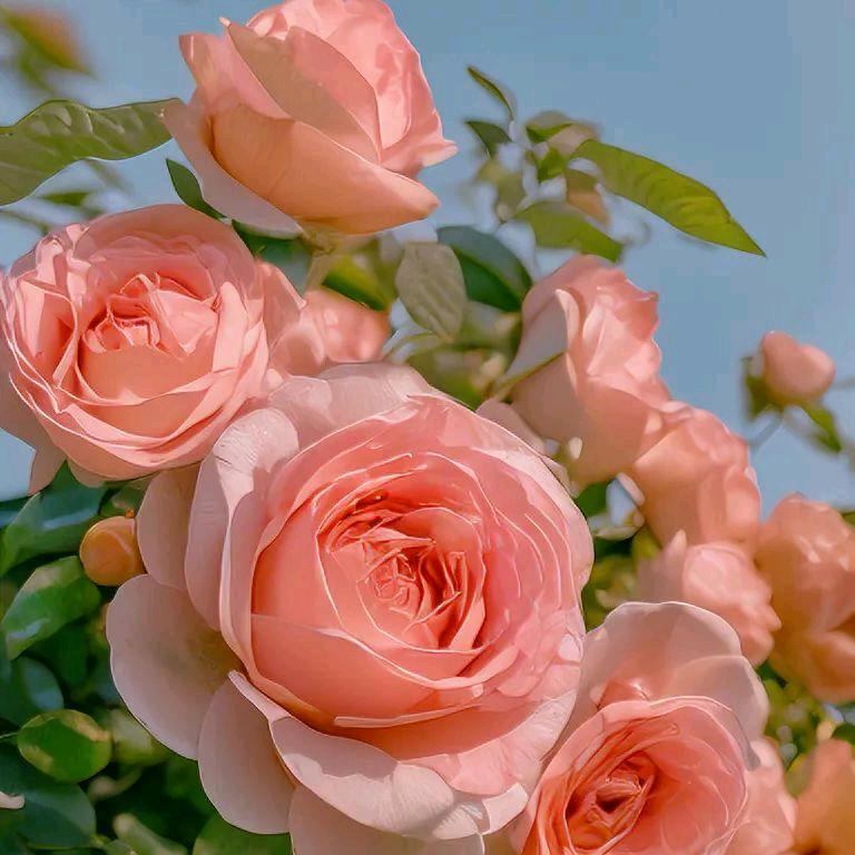 开心果💝💝🥂🥂【拒绝私聊】