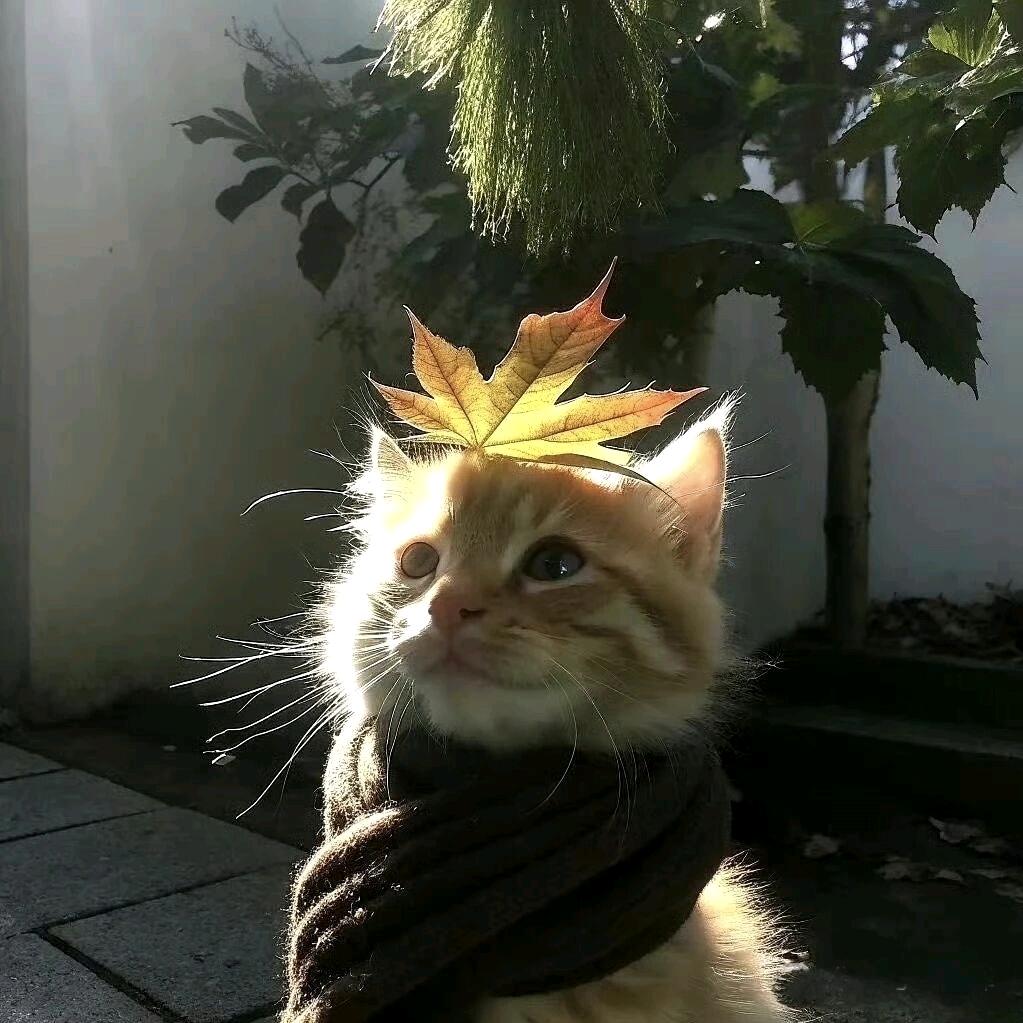 海鲜水产Z总