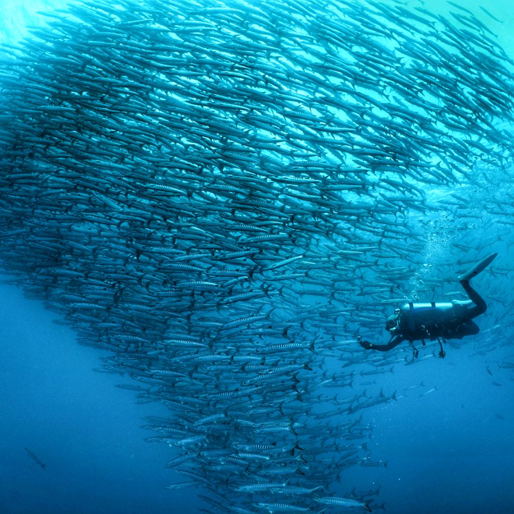 不迟到会死星人