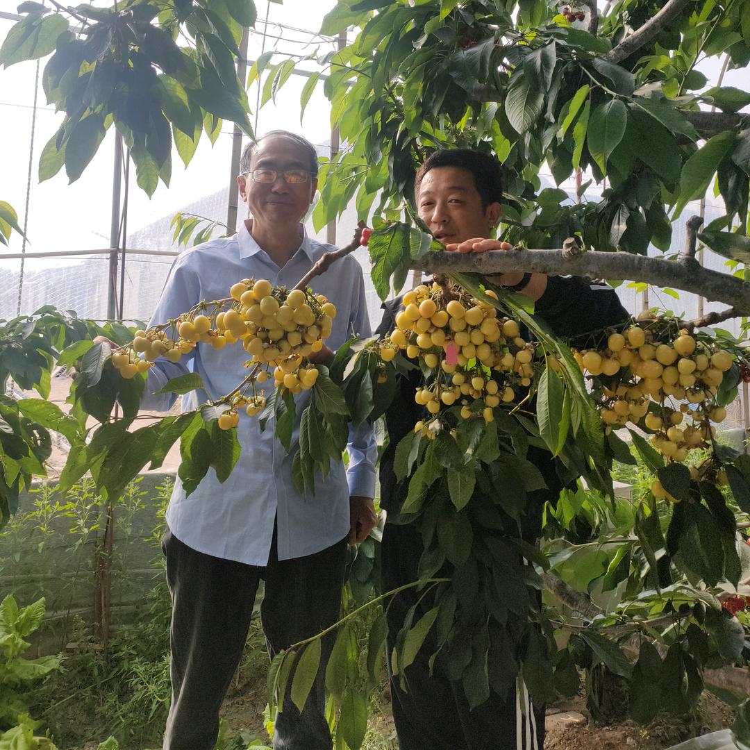 喜言至诚鲜花专卖店