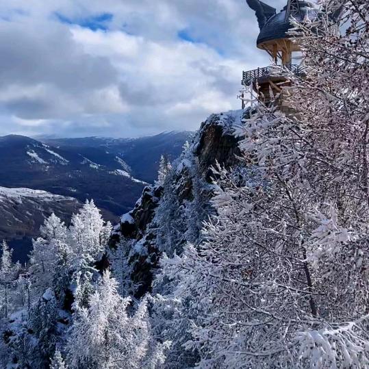 怎么开心怎么活（拒绝私聊）
