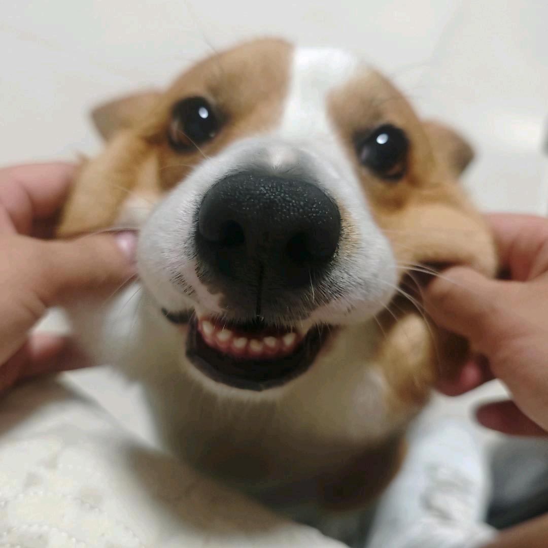 林郑什么时候结婚（见过勉嘟开勋版）