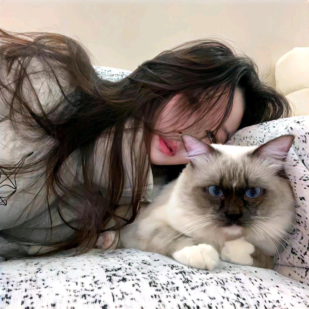 鲸鱼.
