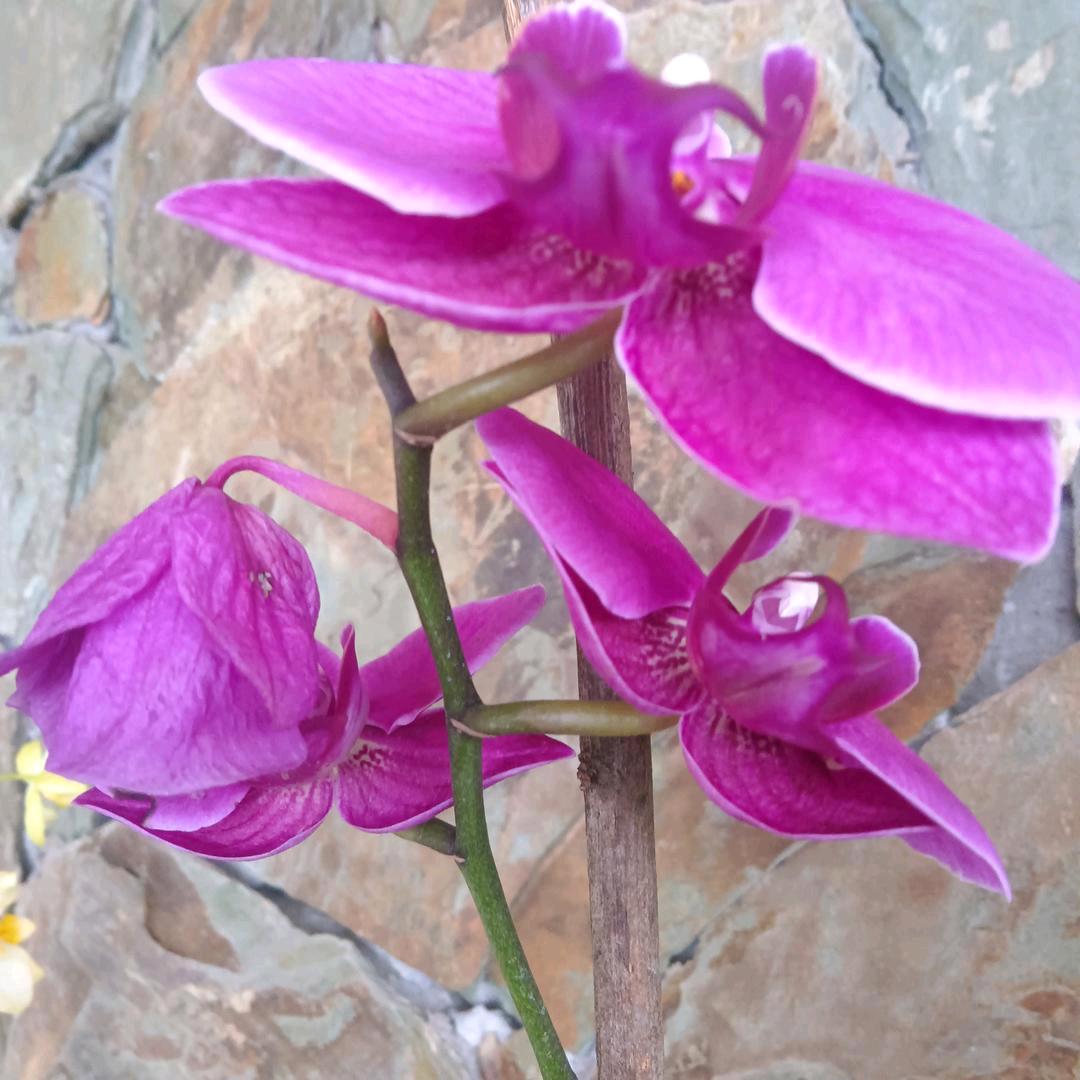 健康快乐每一天