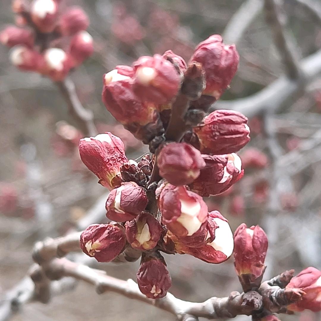 青春岁月