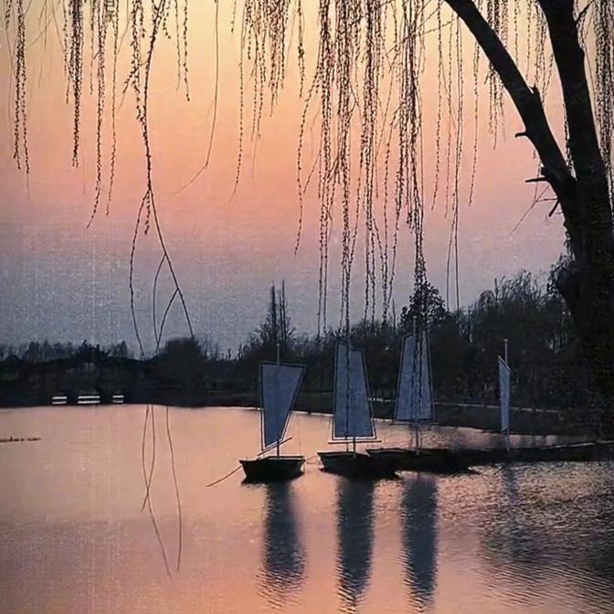 半夏微凉