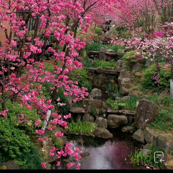 语清风𓆡𓆝𓆟𓆜𓆞