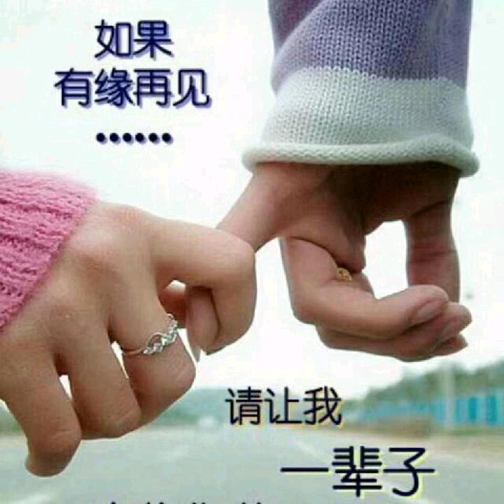 深情不及久伴