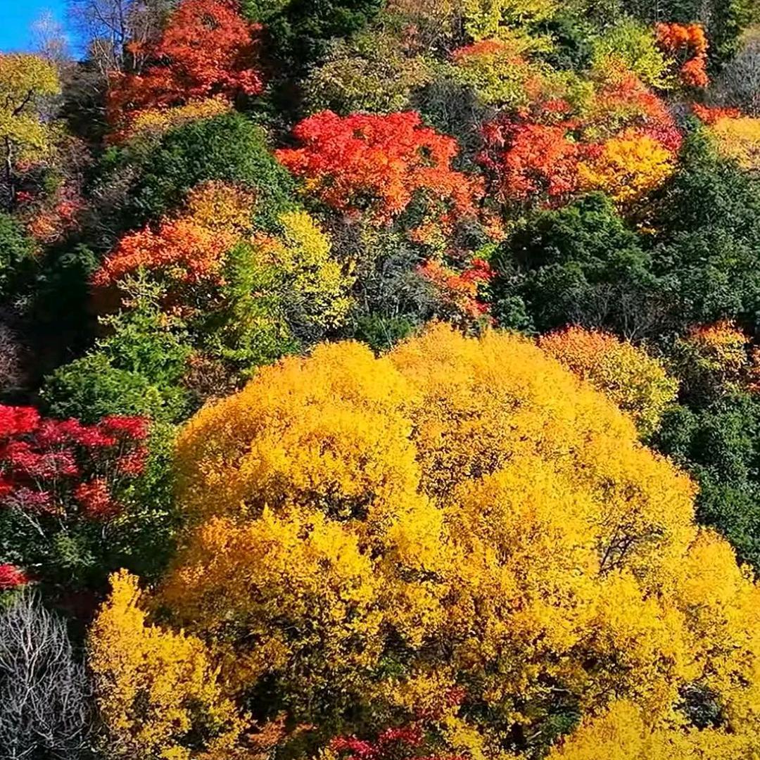 💞情💞 💞缘💞