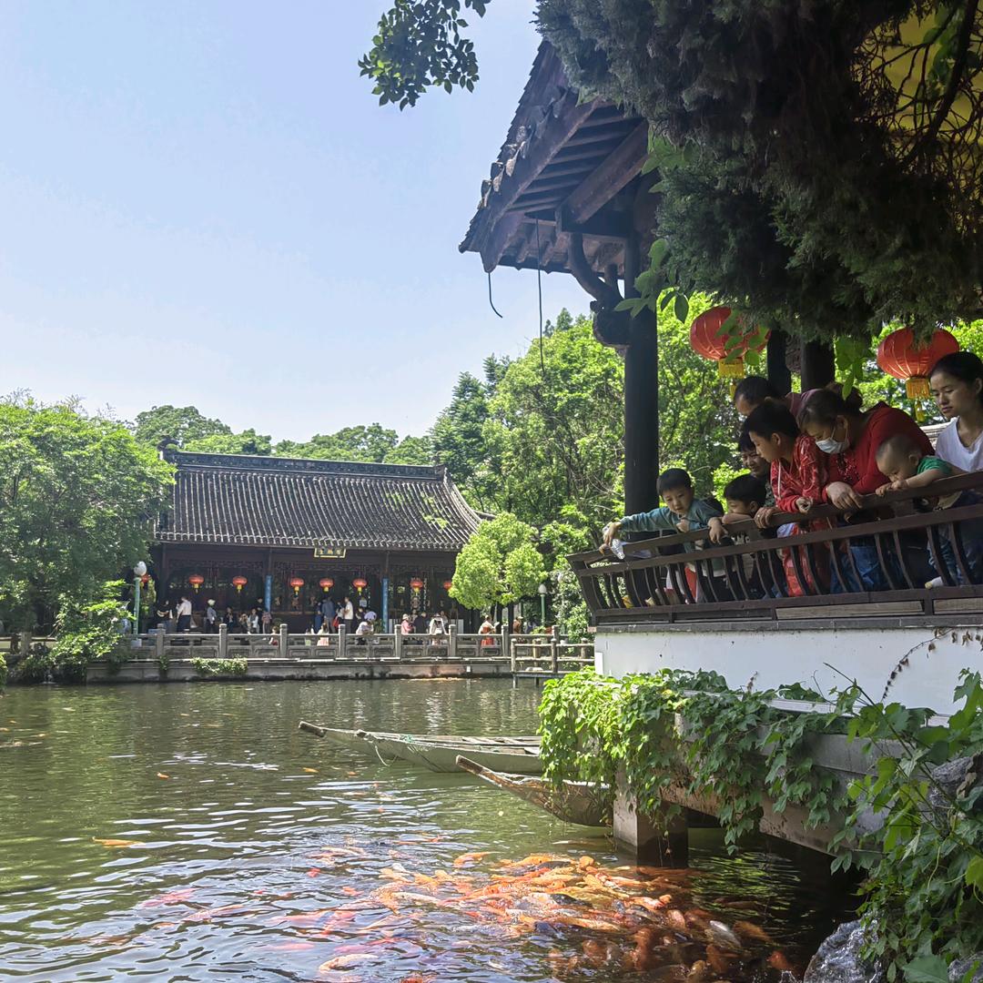 ☀摩卡