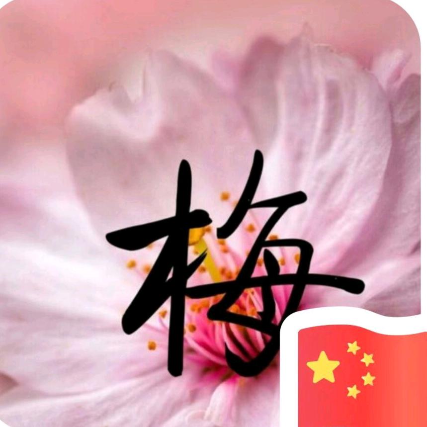 梅.