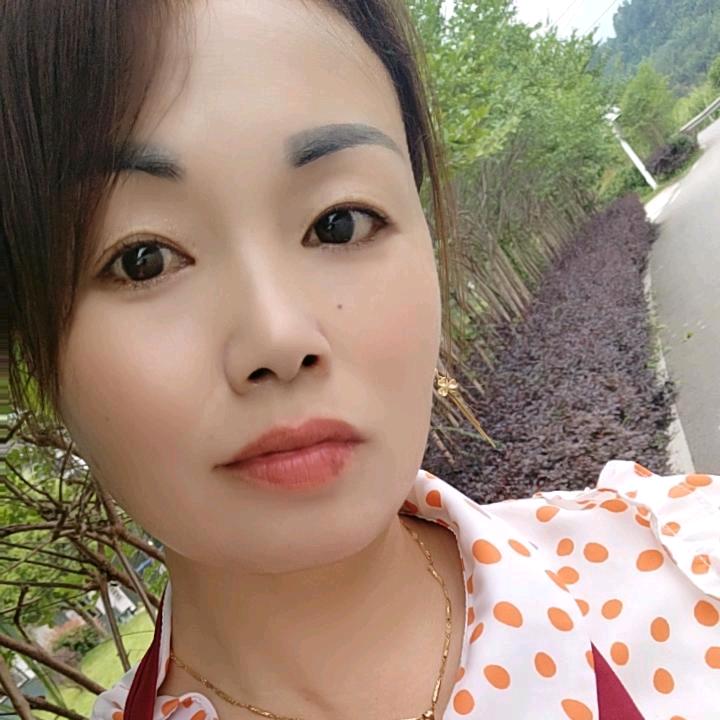 紫霞