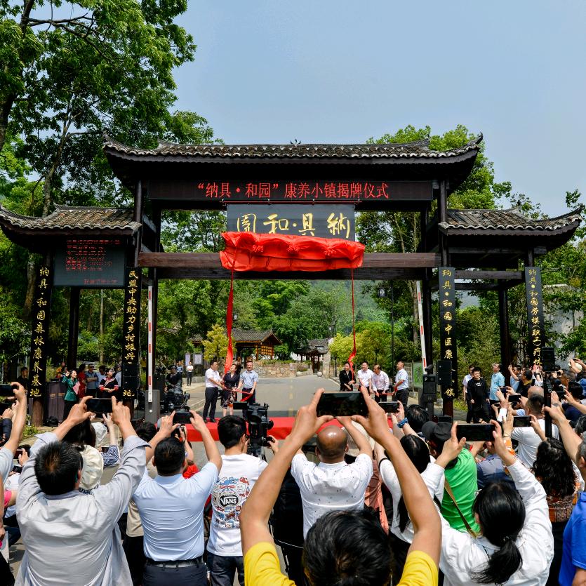 神鹰