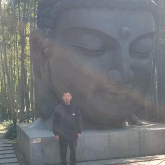 心随果动666