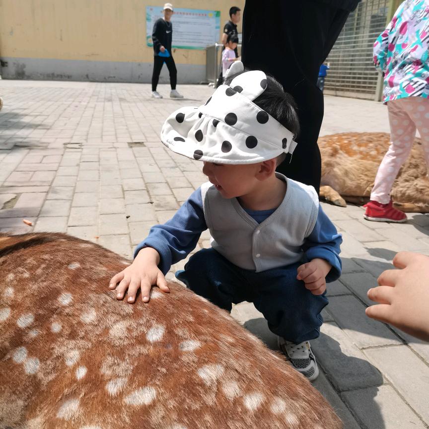鸡时友火锅米线（蓝田店）