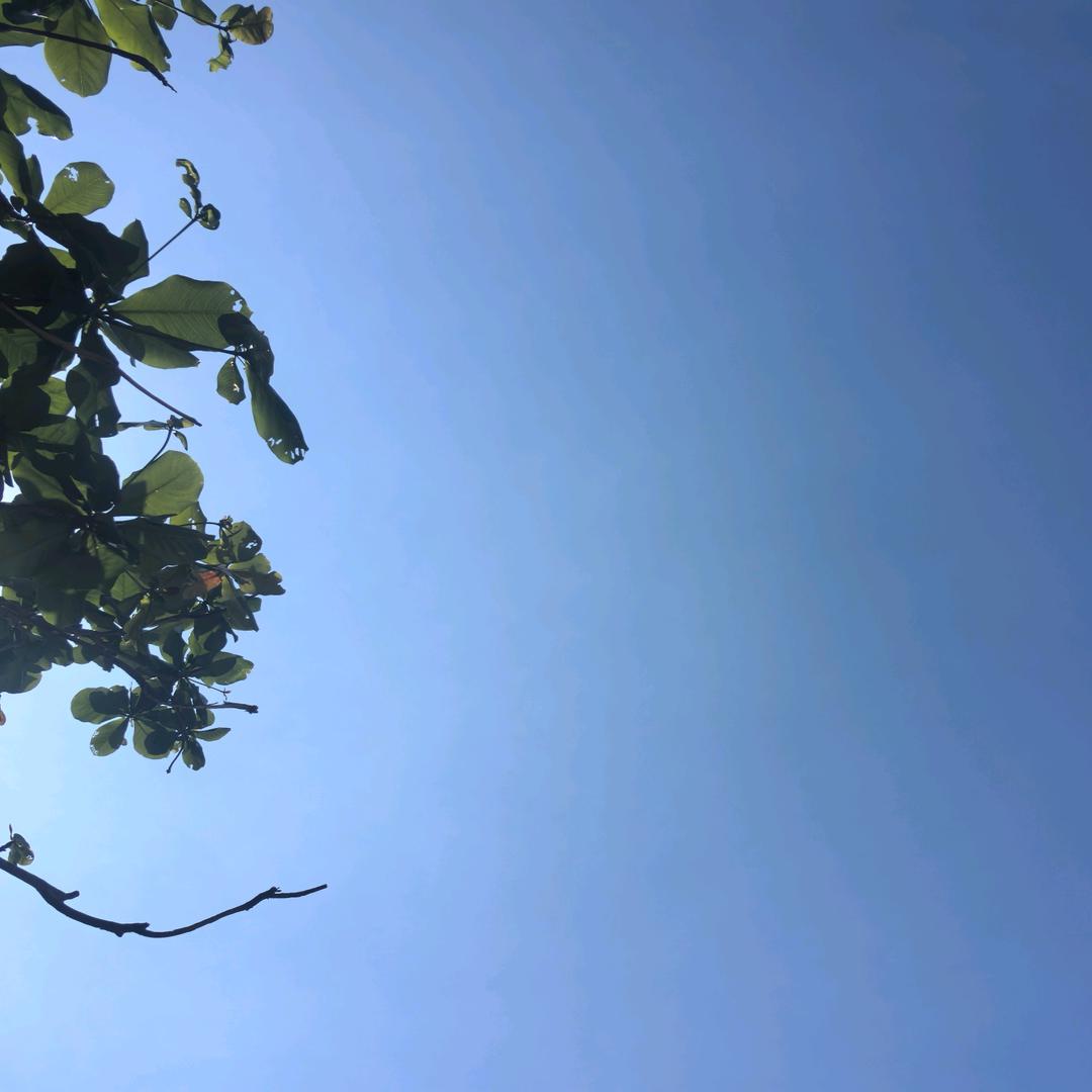 海南秀姐