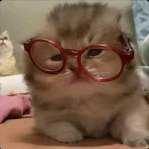 猩雕