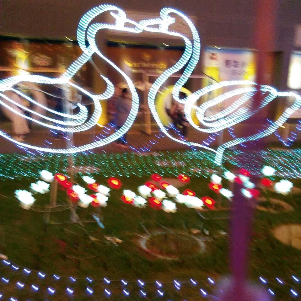 幸福美满853030