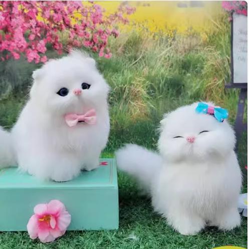 燕子优选