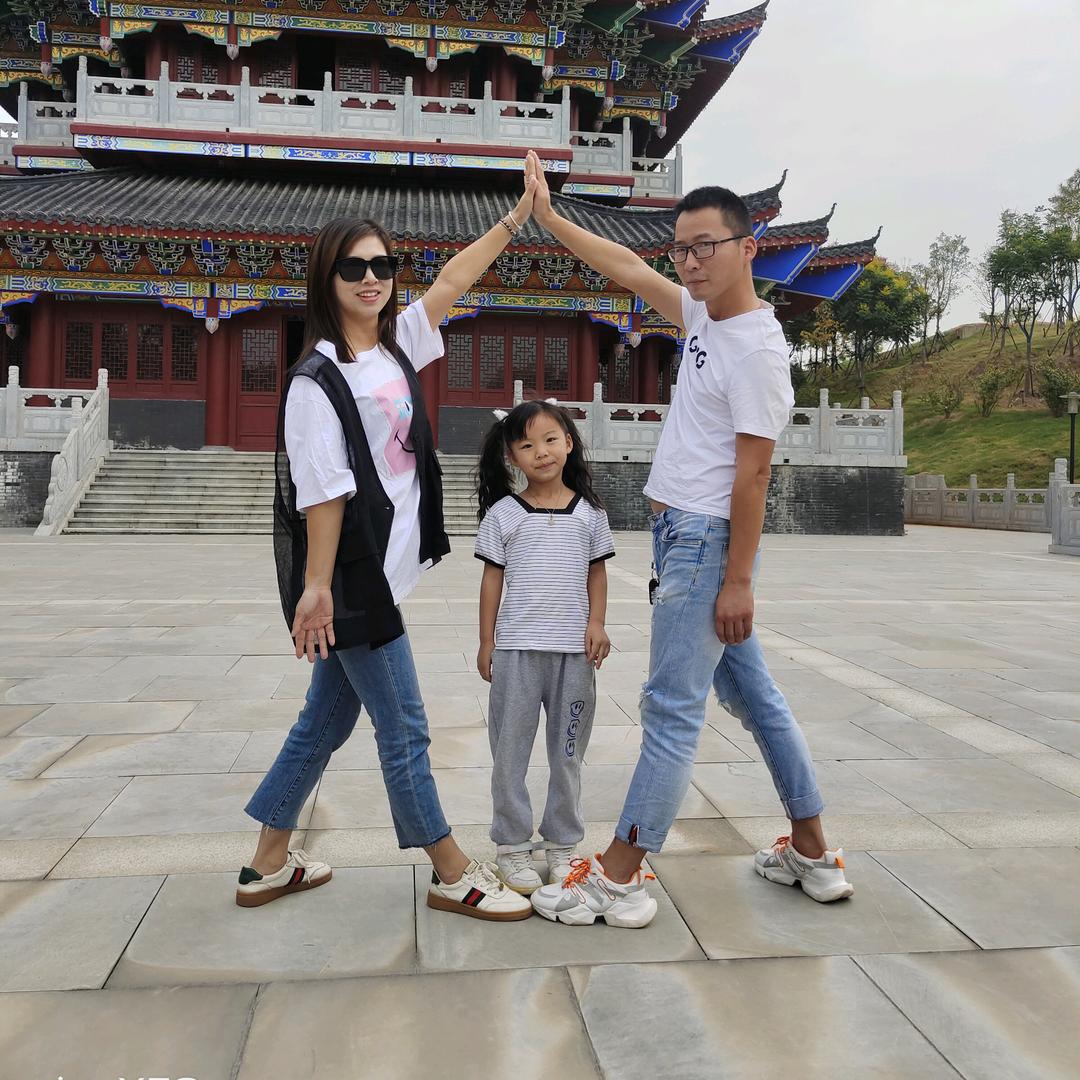 不会飞的九头鸟