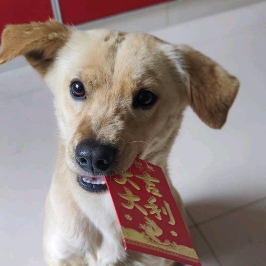 小三斤