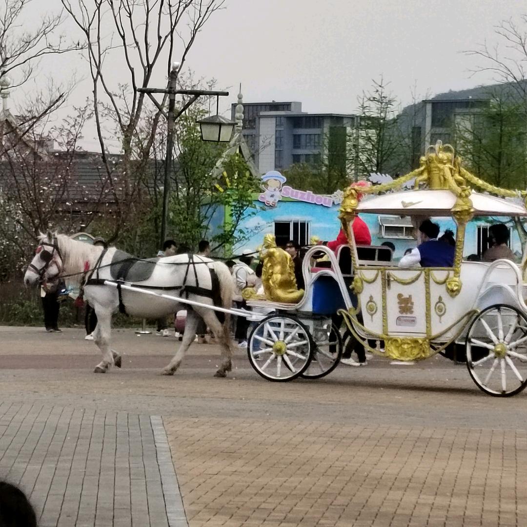 🌸陪月亮熬夜✨🌙
